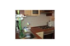 Apartmani Zubak Apartman 1 – Lipica foto 5