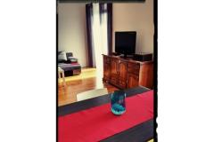 Lu-Do Apartmani Apartman 1 – One foto 5