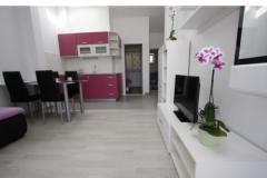 Apartmani Turić Apartman 3 – APP 2+2 foto 2