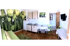 Apartmani Zane Apartman 1 – A1 foto 3