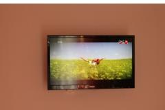 Apartmani Love Tučepi Apartman 3 – NARANČASTI foto 5