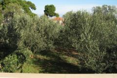 Apartmani Ante Apartman 1 – A1 foto 5
