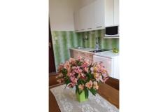 Apartmani Branko Vidaković Apartman 4 – Apartman 4 foto 4