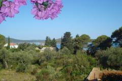 Apartmani Branko Vidaković Apartman 2 – Apartman 2 foto 1