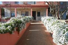 Apartmani Budi Apartman 1 – Apartman foto 1