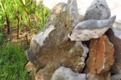 Apartmani ENA Apartman 1 – A2 foto 4