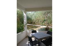 Apartmani Galius Ugljan Apartman 2 – Galius A2 foto 4