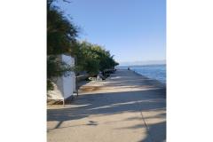 Apartmani Galius Ugljan Apartman 3 – Galius A3 foto 2