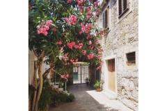 Apartmani Stone Kuća Apartman 1 – Lavanda foto 1