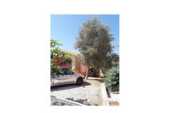 Apartmani Marija Apartman 2 – Marija2 foto 2