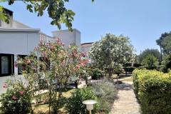 Apartmani Budija / Lavanda Apartman 1: (2+1) – Lavanda 1 foto 2