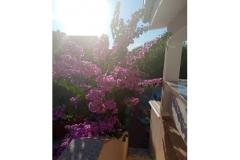 Apartmani Galunić Apartman 1 – prizemlje foto 2