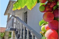 Zoka Apartman 3 – DACA-A2 foto 4