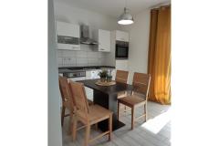 Apartmani Biluš Apartman 2 – App Arta foto 1