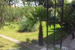 Apartman Korina Apartman 1 foto 5