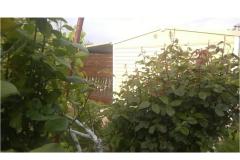 Apartmani DANI Apartman 1 – HomeM. M4 foto 5