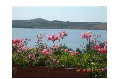 Apartmani Lora Apartman 2 – A2 foto 1