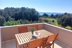 Apartmani Peric Diklo Apartman 1 – A3+2 Lilac foto 2