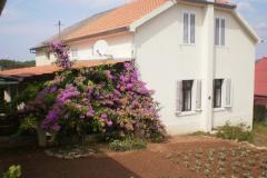Kuća Branka Apartman 1 – Kuća foto 1