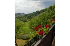 Apartmani Potočki Apartman 1 – Apartman 1 foto 1