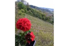 Apartmani Potočki Apartman 2 – Apartman 2 foto 1
