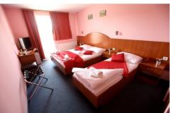 Hotel Zagi Soba 3 – Trokrevetn foto 1