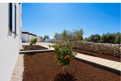 Dalma Park Apartman 1 – Natura Lux foto 3