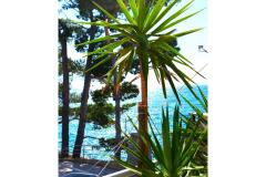 Apartmani Anita Jelaš Veža Apartman 3 – JELAŠ A4+1 foto 1