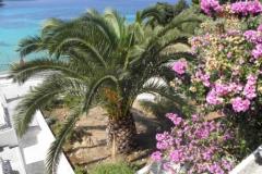 Apartmani Cavelis Apartman 3 – Apartment3 foto 4