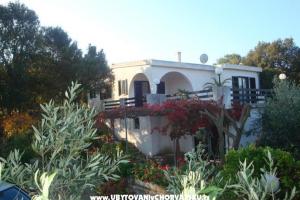 Villa Bepina – Solta