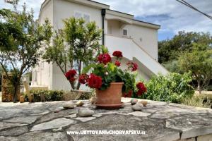 Apartmány Budija / Viola – Vir
