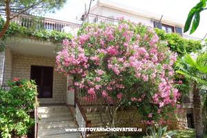 Apartmány  IVAN  13.-23.08. – Vodice