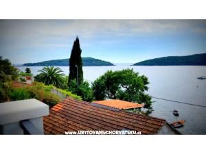 Apartmani Villa Riva Molunat