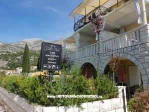 Villa Dube Slano/ villa sa bazenom