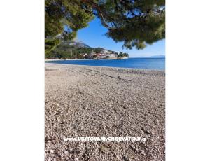 Apartman Anchy