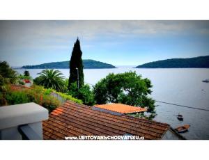 Apartmani Villa Riva Molunat