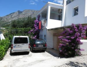 Apartmani Delfin
