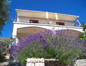 Apartmani Stipišić