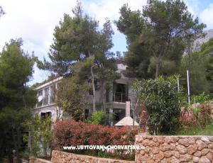 Apartmani Villa Ypsilon