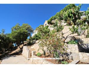 Apartmani Ana