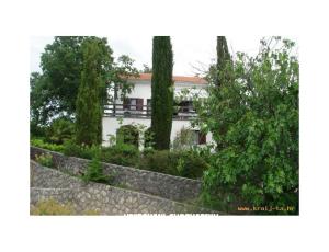 Apartman Sever