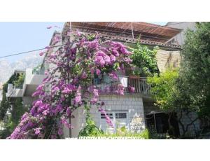 Apartmani KATE