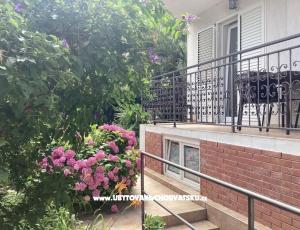 Apartmani Rubinić 
