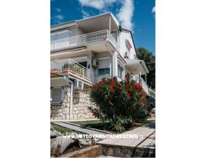 Apartmani Ada