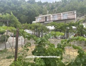 Apartmani Stanic