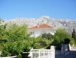Apartmani Terezija