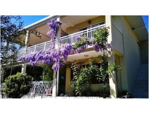 Apartmani Marijela