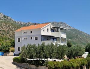 Sea Forever Apartmani