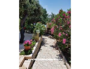Apartmani Milena i Robert