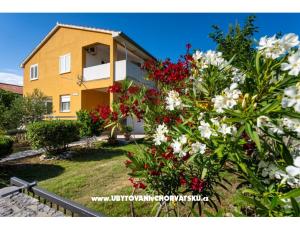 Apartman Agava Seline
